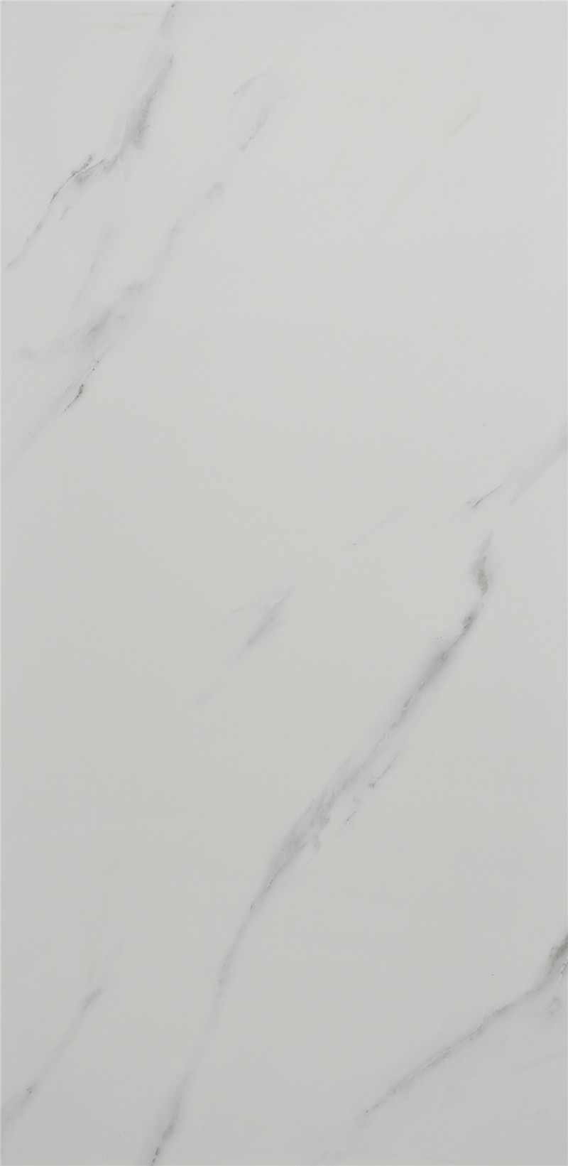 瓷片